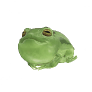 Felyne Suja Frog α image