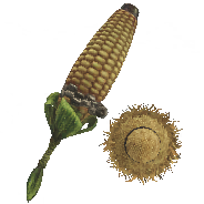 Mighty Cornpopper