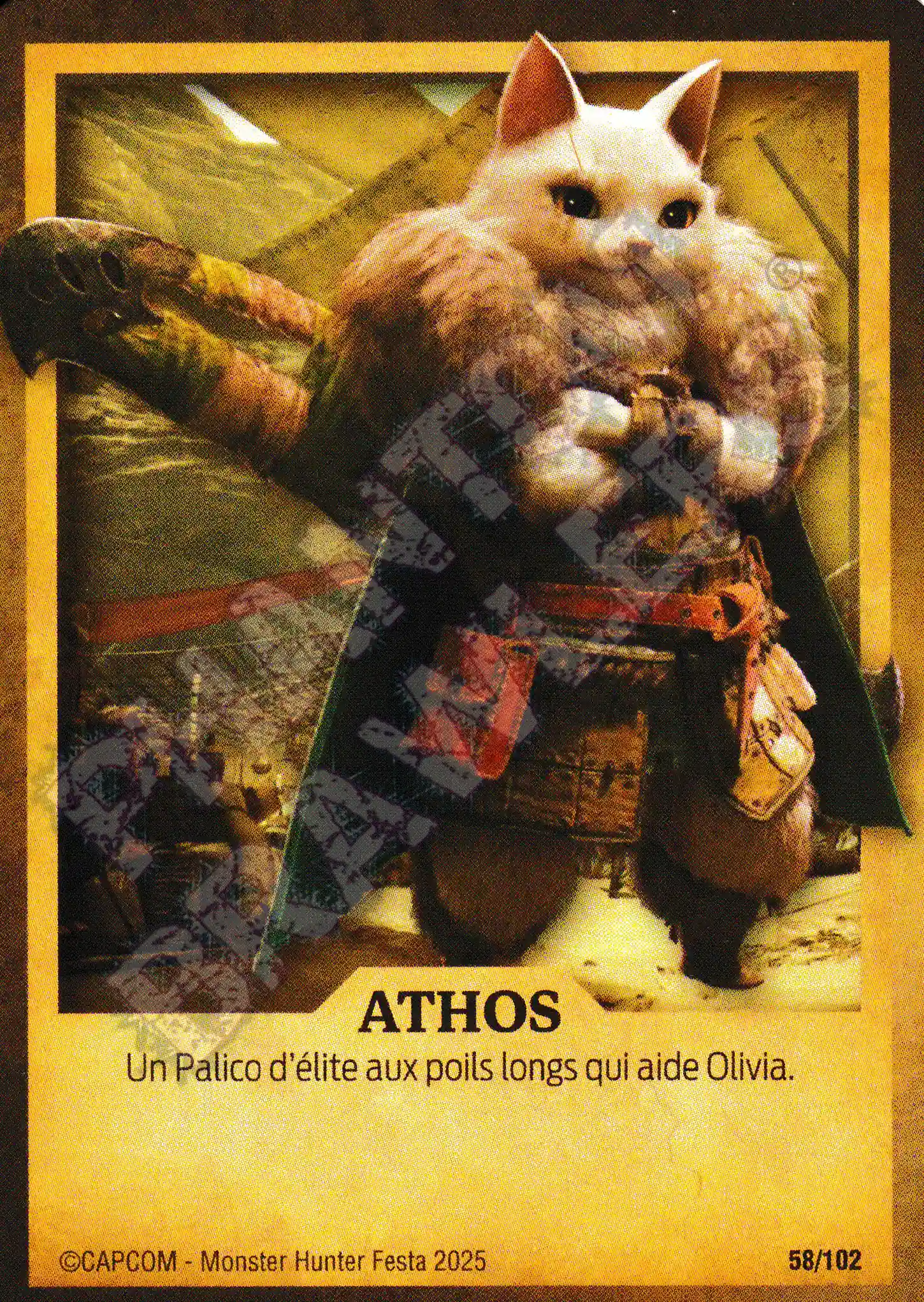 Athos 58 - 102