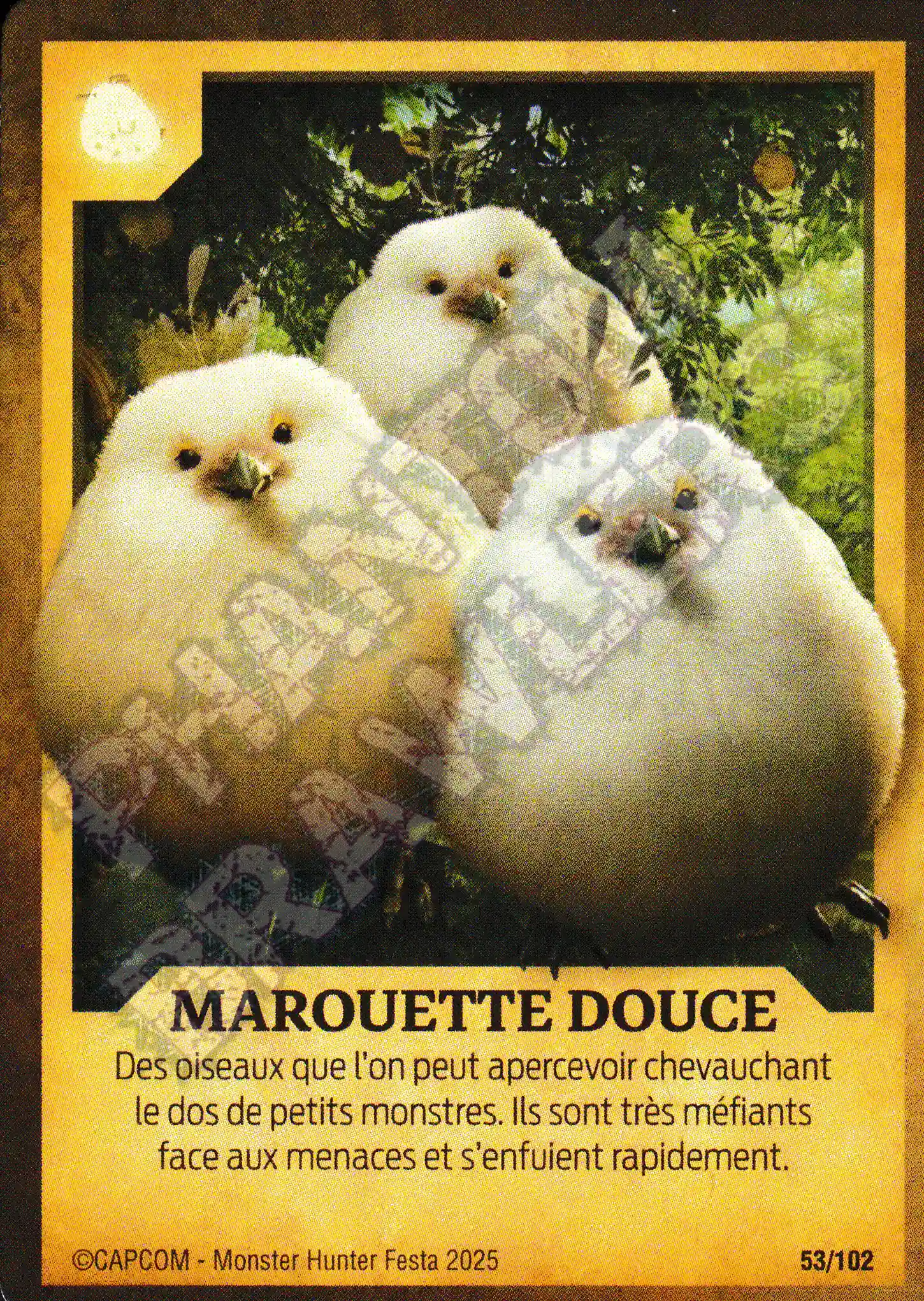 Downy Crake 53 - 102