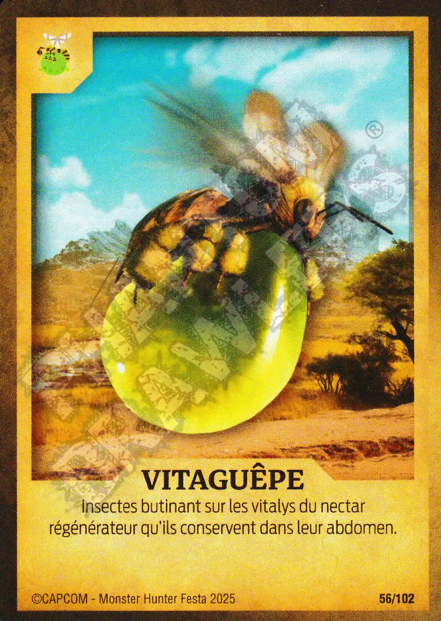 Vigorwasp 56 - 102
