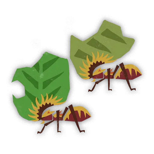 Leaflugger Ant